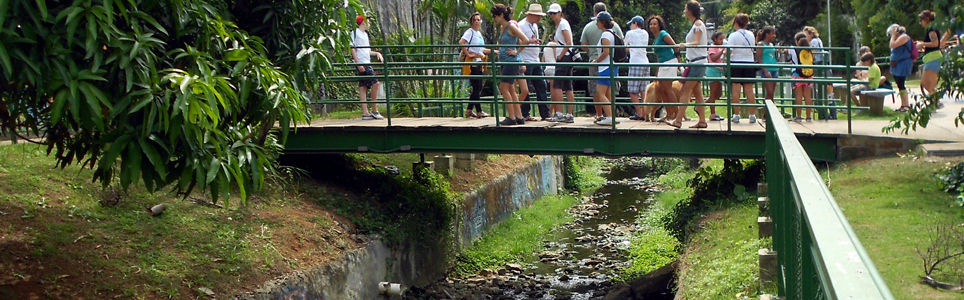 Mapeamento social e afetivo dos rios paulistanos 