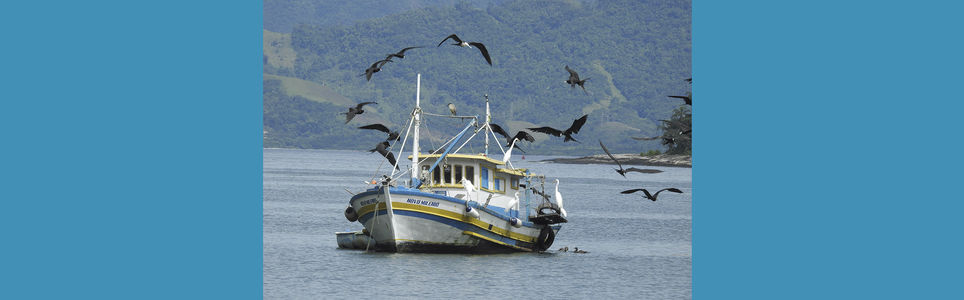 Rastros e metamorfoses entre bichos, plantas e gentes: introdução aos estudos multiespécies