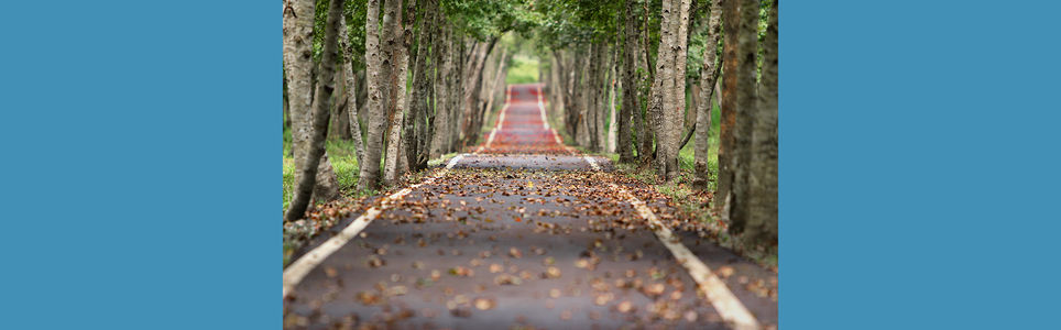 Políticas públicas e Esporte