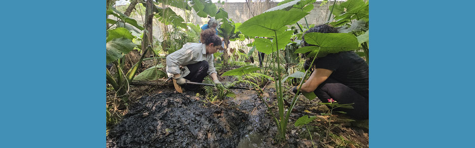 Permacultura na Cidade – módulo 2: águas
