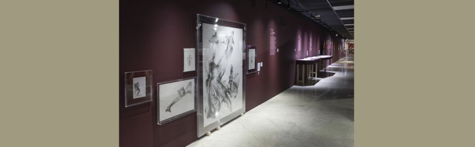 Poética DEF nas artes visuais: a exposição Demonstra