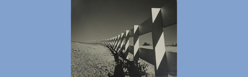 Fotoclubismo e Modernidade