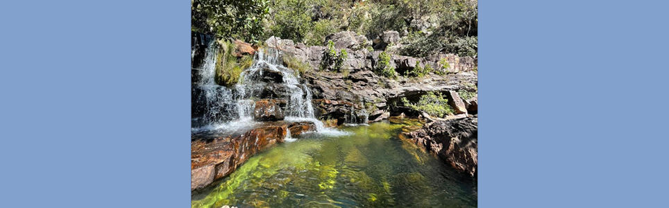 Os biomas brasileiros na encruzilhada