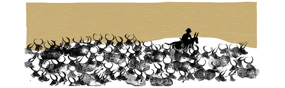 A Imagem Narrativa no Livro Ilustrado