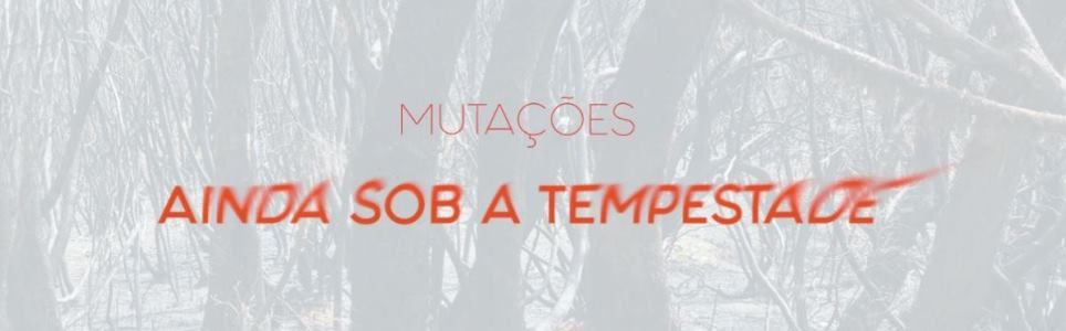 Termodinâmica da História
