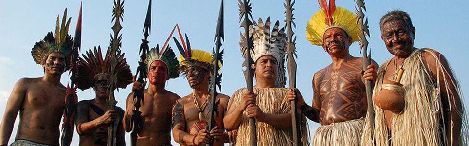 Questão Social, Populações Indígenas e Serviço Social no Brasil