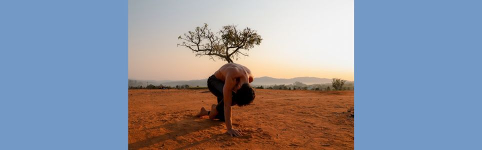 Yoga: Corpo, território e contemporaneidade