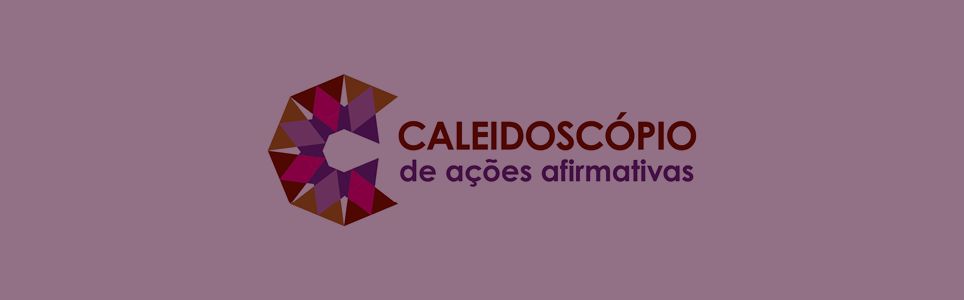 Caleidoscópio das Ações Afirmativas: balanços e perspectivas