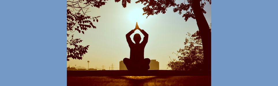 Atma Yoga: O Yoga à luz do Ayurveda, Mahalila e Mantras