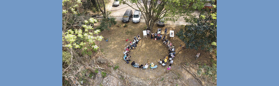 Permacultura urbana: a regeneração socioambiental nas cidades