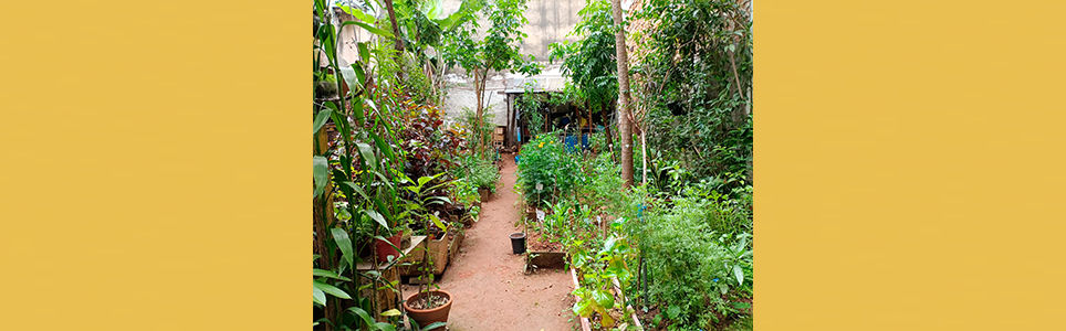 Plantar e bordar: o aprendizado contínuo na Horta Comunitária do Bixiga