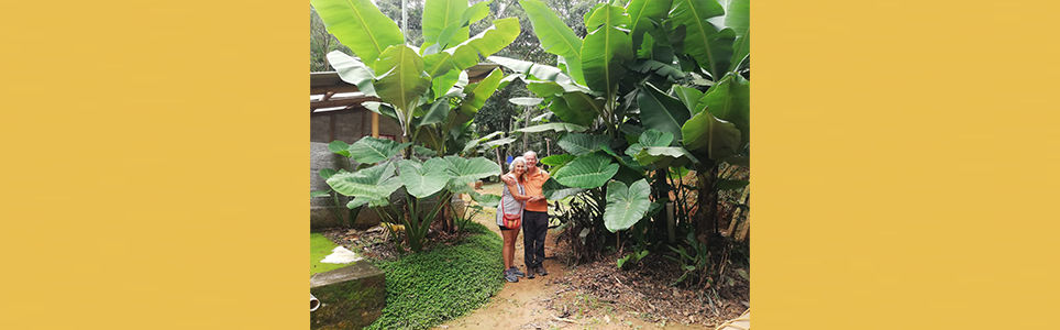 Saneamento ecológico na prática