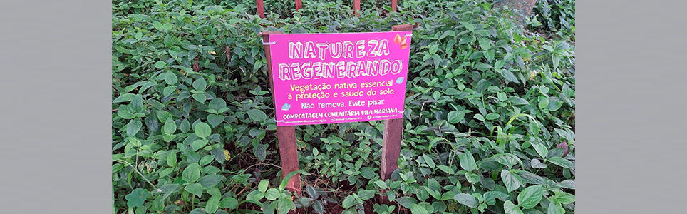 Permacultura na Cidade - Módulo 4