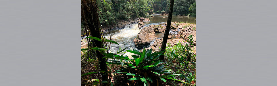 Naturezas Periféricas: Parelheiros e Marsilac (zona Sul)