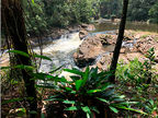 Naturezas Periféricas: Parelheiros e Marsilac (zona Sul)