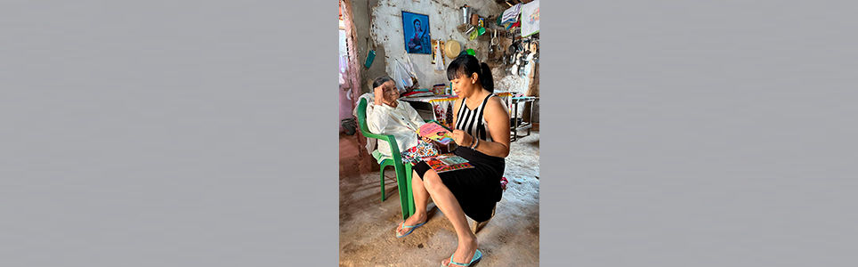 Livros indígenas: Livros nos territórios: publicações na escola e para a escola