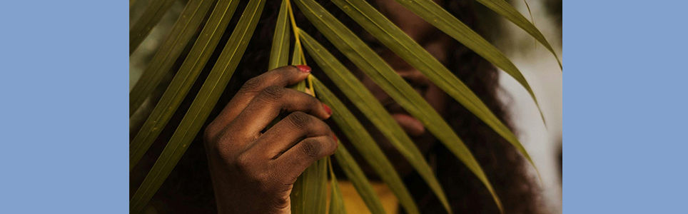 Ecologia decolonial e do Sul Global