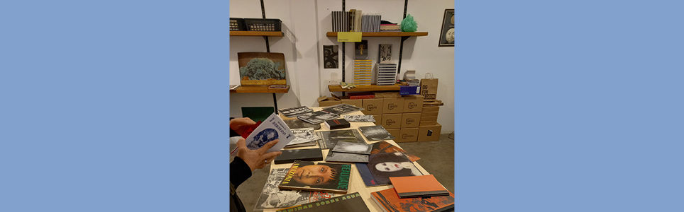 Fabulações para o fim do mundo: laboratório de projetos de fotolivros