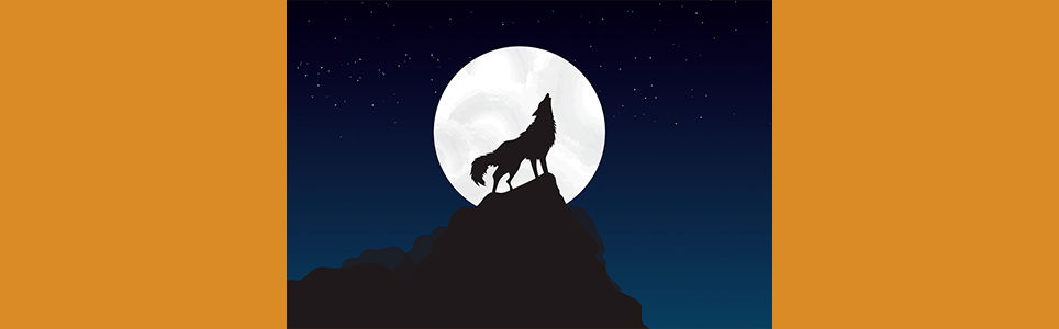 Lobos na Sala de Leitura