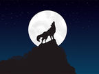 Lobos na Sala de Leitura