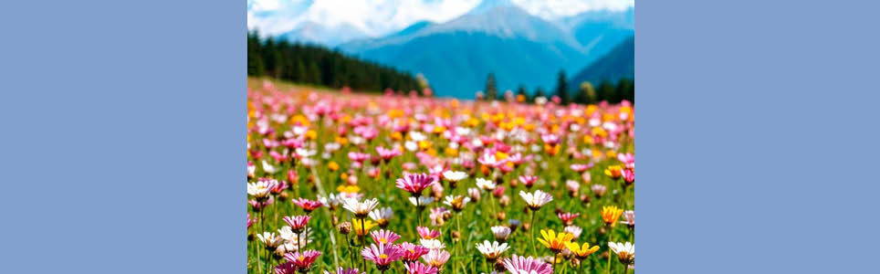 Respiração e Dor Crônica