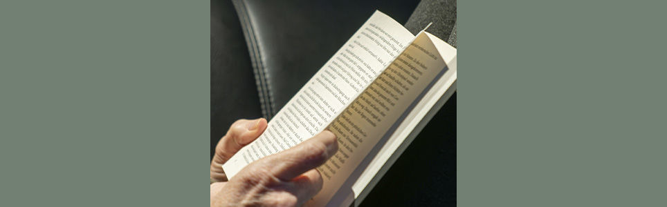 O gênero conto e as suas fruições