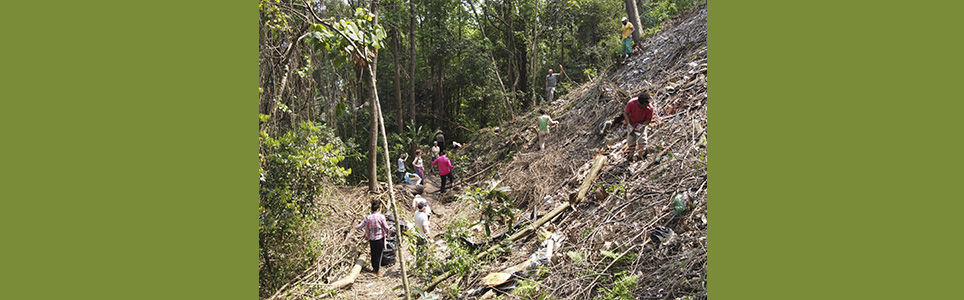 Permacultura na cidade: caminhos para a regeneração socioambiental