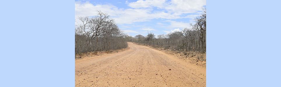 O cuidado é o futuro: escutas e políticas para um amanhã possível 