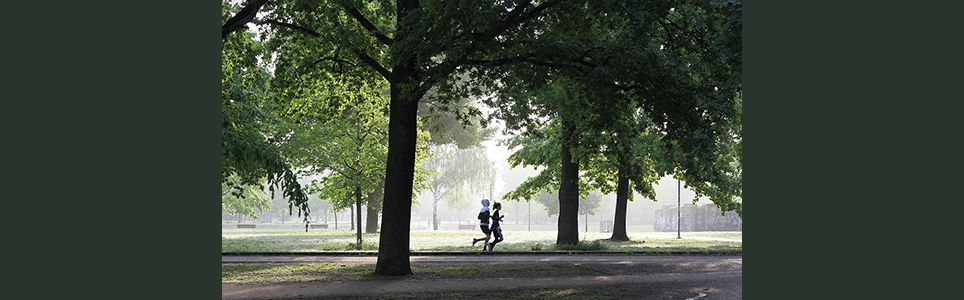 Gestão de Projetos no Esporte: fundamentos e prática