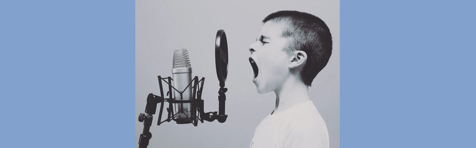 Voz Quebrada: Padrões Estéticos nos Cantos de Música Popular Brasileira 