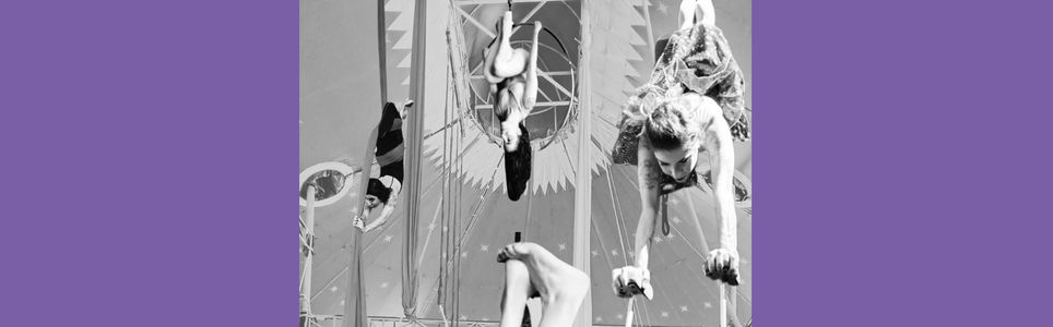 As performances circenses e o paradoxo do risco e da dor