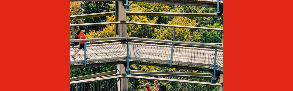 Turismo e Acessibilidade: da teoria à experiência do visitante