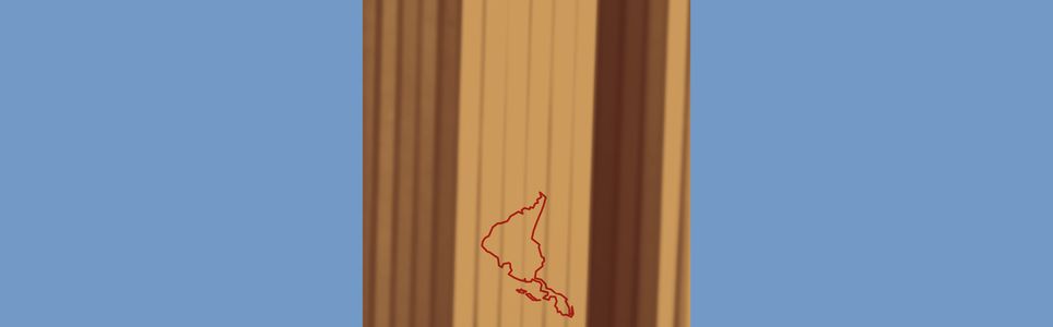 Imagem na palavra: literatura latino-americana sob o olhar da cultura visual