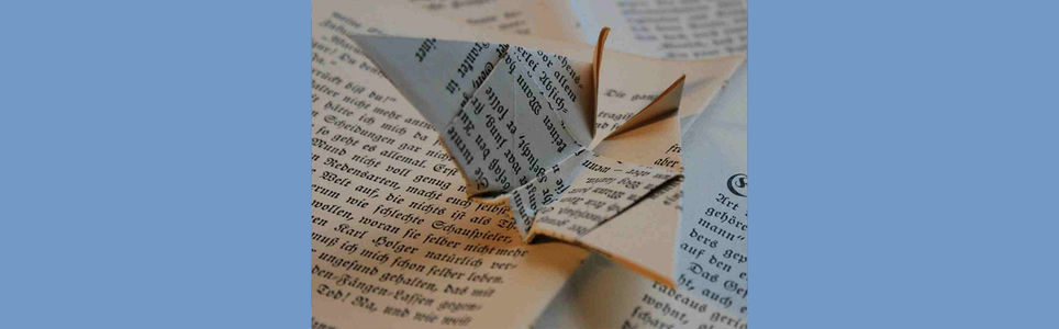 Workshop Leitura Divertida com Origamis