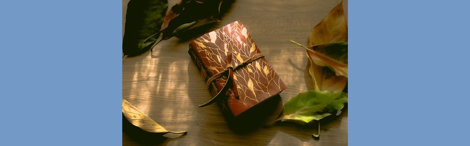 Prática artística em encadernação: o livro-objeto
