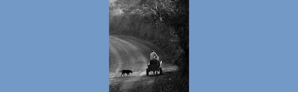 Etnofotografia - a fotografia como memória do instante transitório