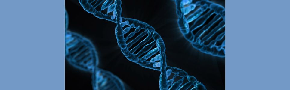 Testes de Ancestralidade: aspectos biológicos, antropológicos e éticos
