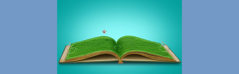 Nova Lei Geral do Desporto, seu processo de estruturação e desdobramentos