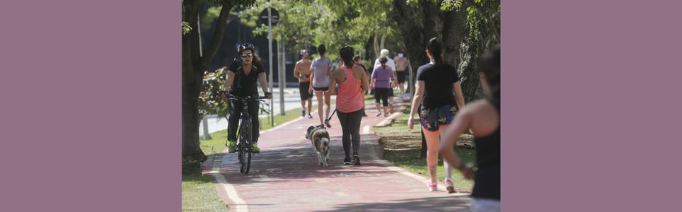 Ciclo Ambiente, Atividade Física e Saúde: ciclovias e saúde