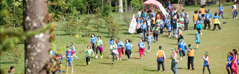 Cultura do brincar