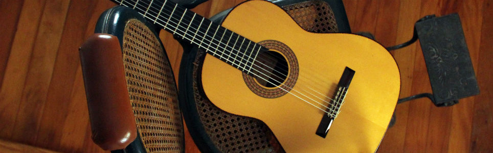 Perfil do Profissional Músico no Brasil