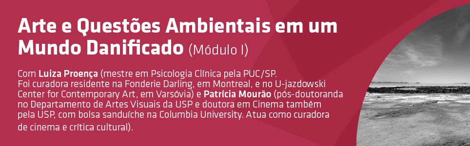 Arte e questões ambientais em um mundo danificado (Módulo I)