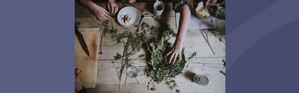 O Uso das Plantas Medicinais na História