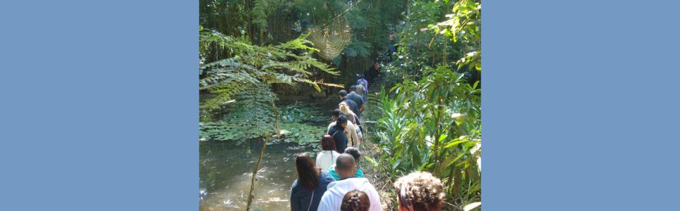 Áreas Naturais Protegidas: A Natureza nas Infâncias (Módulo Virtual)