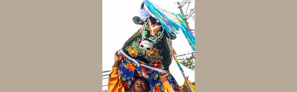 Manifesto Corporal: festividades e culturas locais - Bumba meu boi