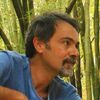 Pedro Paulo Salles