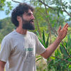 Rafael Furtado